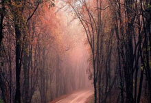 虎扑手机网：[高尔夫]世界排名：海史密斯夺冠进入前60 奈杜升至246位.