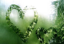 [足球之夜]友谊杯：以球会友 共叙友谊.