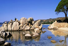 虎扑手机网：[欧冠]A组第3轮：加拉塔萨雷VS拜仁慕尼黑.